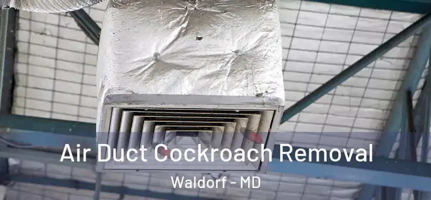 Air Duct Cockroach Removal Waldorf - MD