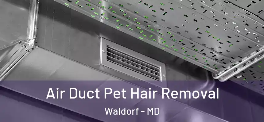 Air Duct Pet Hair Removal Waldorf - MD