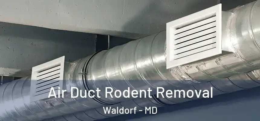 Air Duct Rodent Removal Waldorf - MD