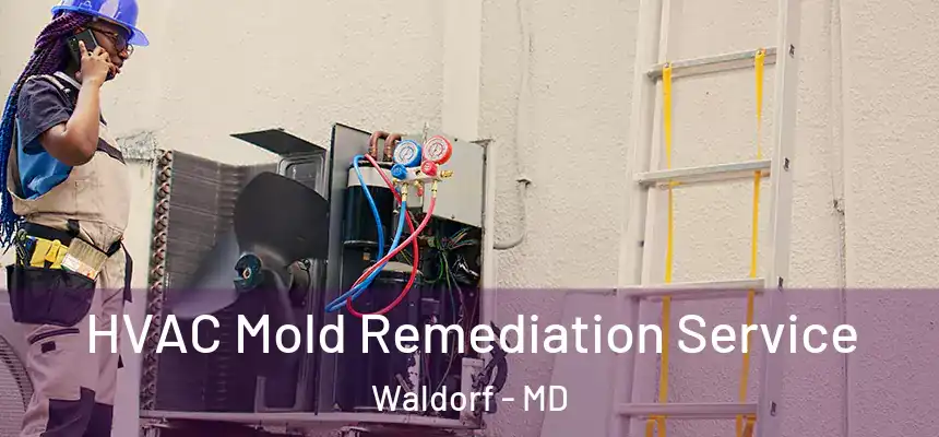 HVAC Mold Remediation Service Waldorf - MD