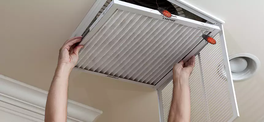 Preventive Cockroach-Proofing for Ducts in Waldorf