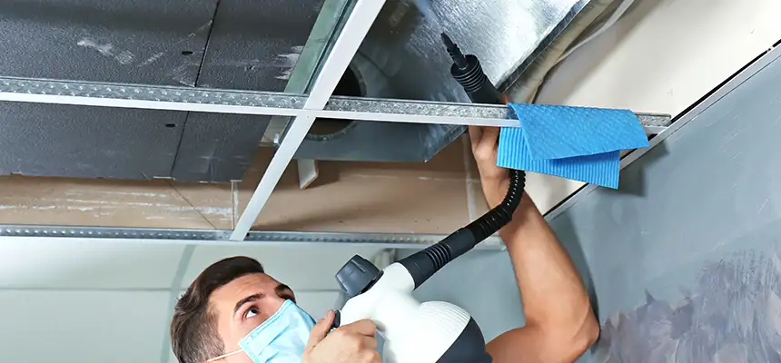 Our Air Duct Rodent Removal Services in Waldorf, MD