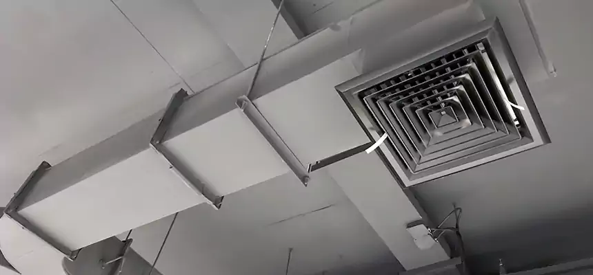 Restorative Allergy Relief Vent Cleaning – Coil, Blower & Housing Detail in Waldorf