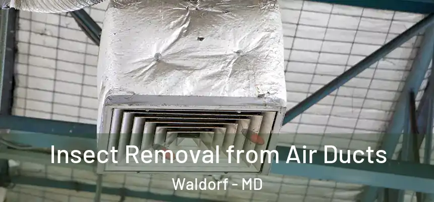 Insect Removal from Air Ducts Waldorf - MD