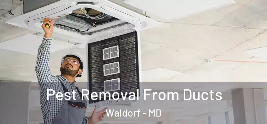 Pest Removal From Ducts Waldorf - MD