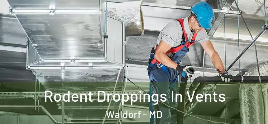 Rodent Droppings In Vents Waldorf - MD