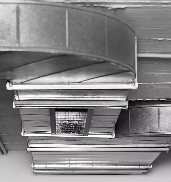 Professional Air Duct Pest Removal in Waldorf, MD