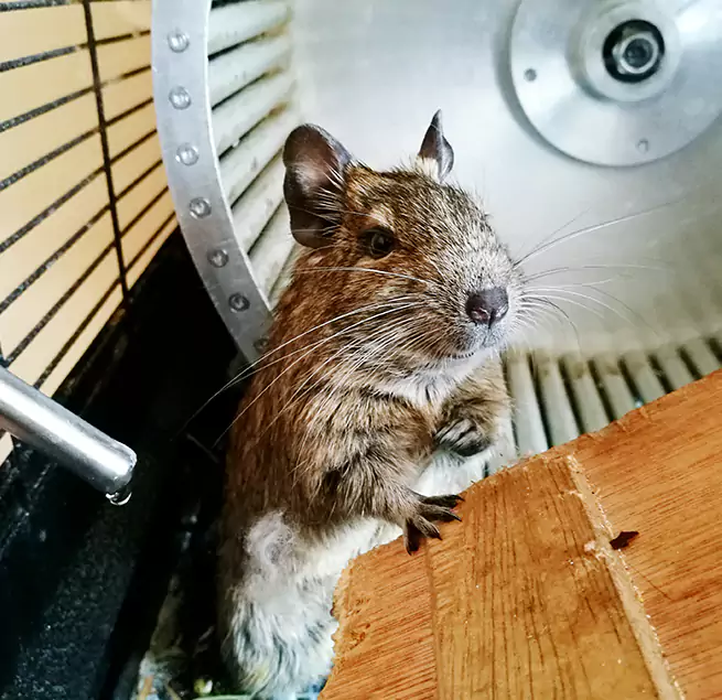 Why Homeowners & Businesses Trust Us Waldorf, MD?