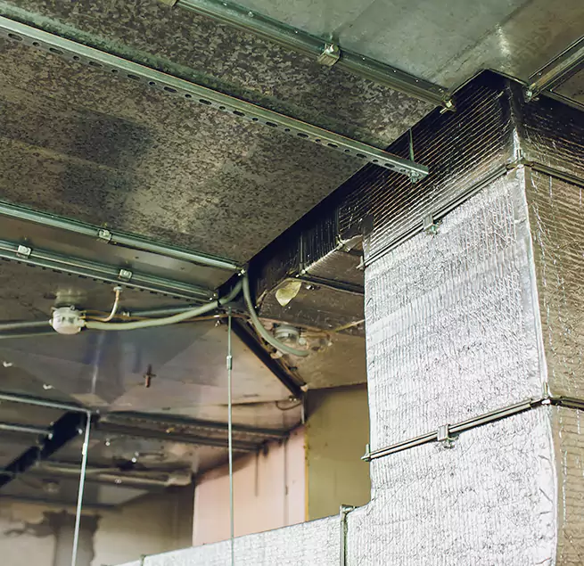 Why Homeowners & Businesses Trust Us in Waldorf, MD?